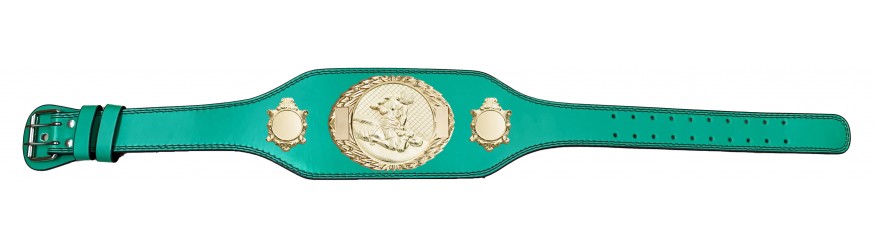 MMA CHAMPIONSHIP BELT-BUD295/G/MMAG-4 COLOURS